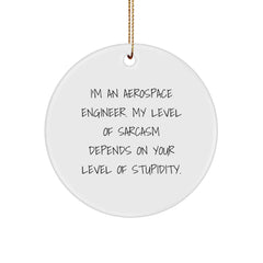 Aerospace Engineer Gifts from Friends, Unique Christmas Circle Ornament with Sarcasm Quote, Funny Holiday Present for Men, Women, or Coworkers - Image 1