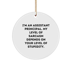 Funny Assistant Principal Gifts, Sarcasm Circle Ornament, Gifts from Friends for Assistant Principal, Perfect Christmas Unique Gifts for Work - Image 1