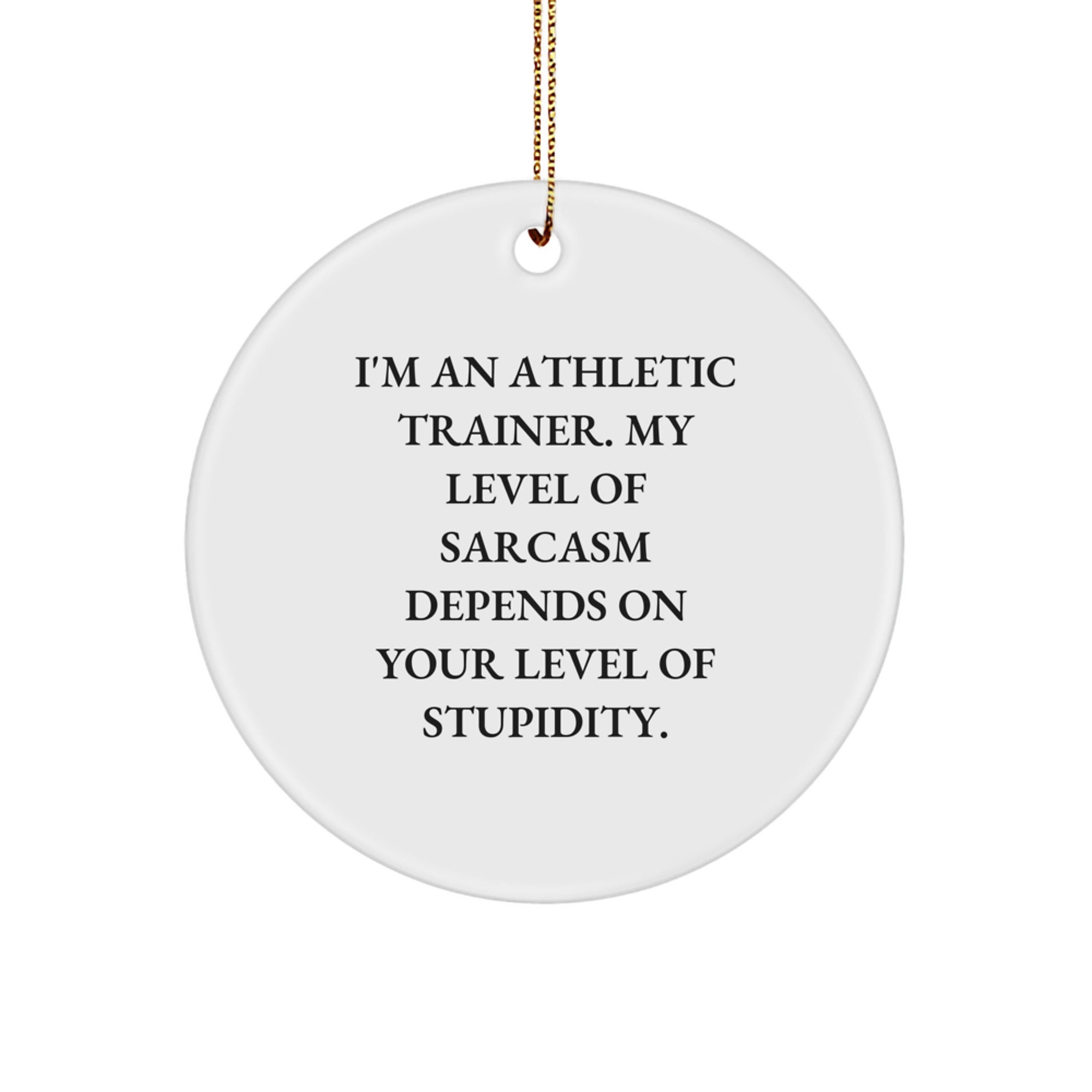 Funny Athletic Trainer Gifts, 'I'm An Athletic Trainer...' Circle Ornament, Christmas Unique Presents from Friends, Family, or Coworkers for Him or Her - Image 1