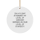 Funny Flight Attendant Gifts from Friends for Christmas - I'm A Flight Attendant. My Level Of Sarcasm Depends On Your Level Of Stupidity. Circle Ornament - Image 1