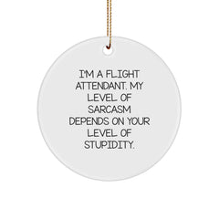 Funny Flight Attendant Gifts from Friends for Christmas - I'm A Flight Attendant. My Level Of Sarcasm Depends On Your Level Of Stupidity. Circle Ornament - Image 1