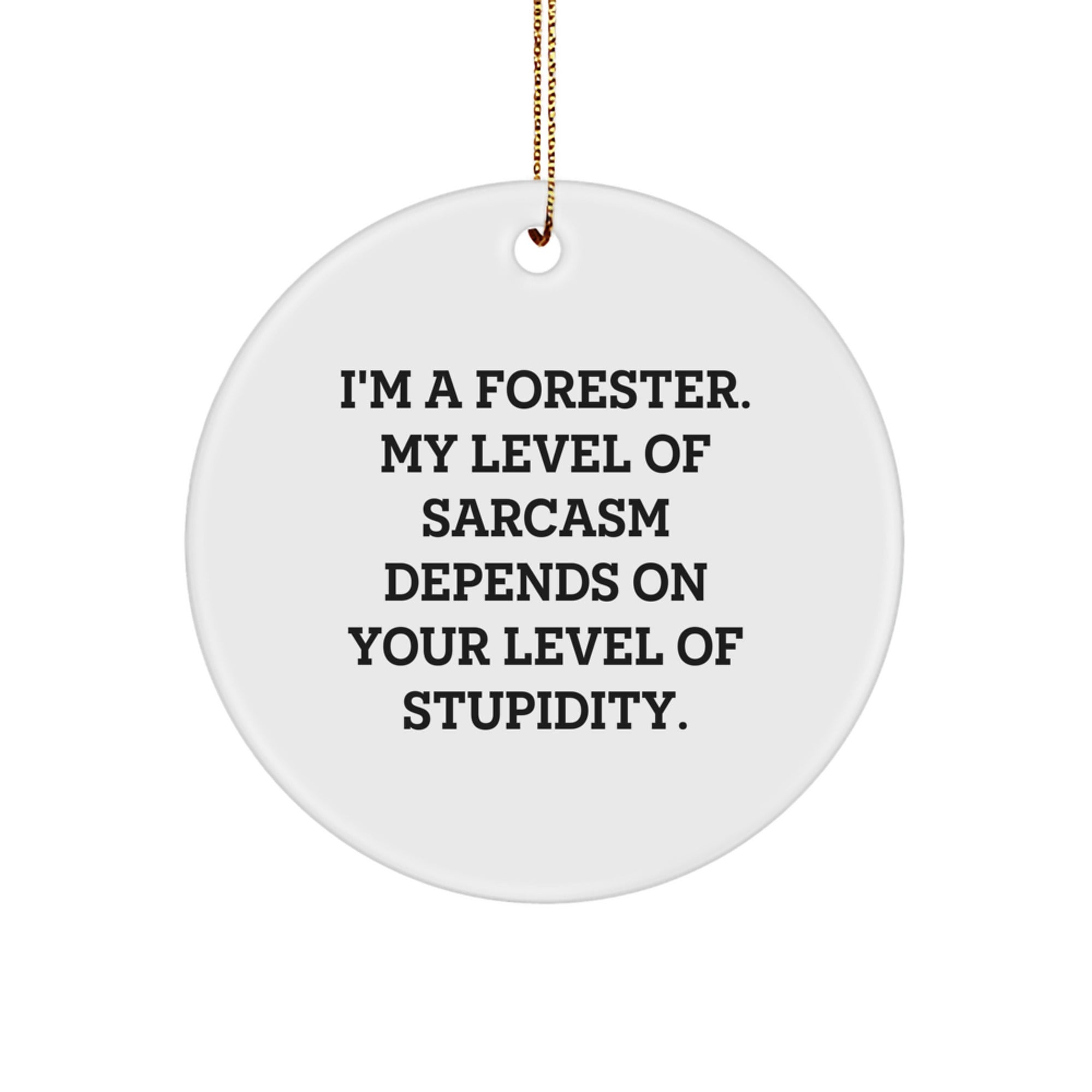 Funny Forester Gifts from Friends for Him - Circle Ornament with I'm A Forester. My Level Of Sarcasm Depends On Your Level Of Stupidity. - Unique Christmas Ornament - Image 1