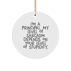 Christmas Unique Gifts from Men for Principals - Funny Principal Gifts - Sarcastic 'I'm A Principal. My Level Of Sarcasm Depends On Your Level Of Stupidity.' Circle Ornament - Image 1
