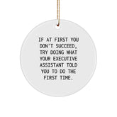 Funny Executive Assistant Gifts from Friends for Men Women Family - 'If At First You Don't Succeed' Christmas Unique Circle Ornament - Image 1