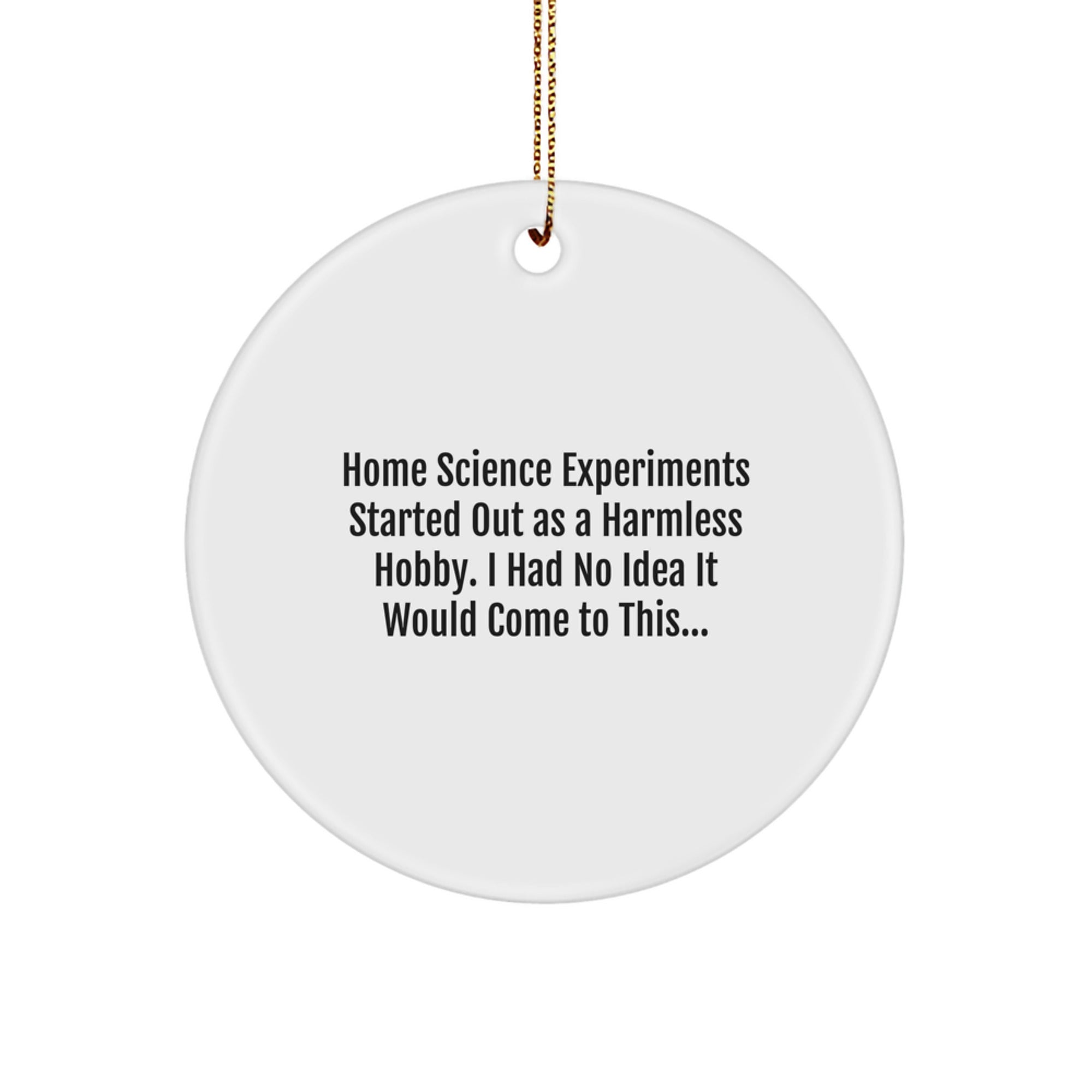 Home Science Experiments Gifts for Women - Funny Christmas Circle Ornament, Gifts from Women for Home Science Experiments Enthusiasts, Circle Shaped Decoration - Image 1