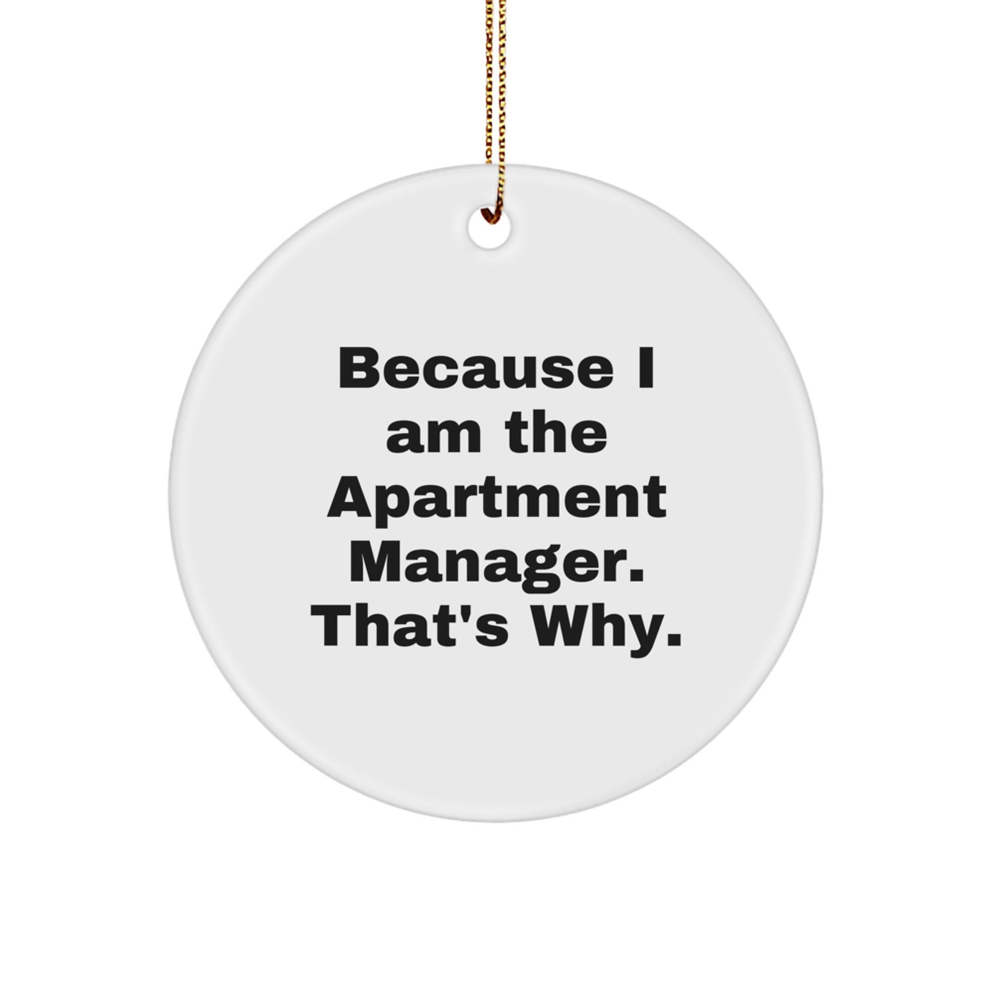 Gifts from Friends for Apartment Manager Because I Am The Apartment Manager. That's Why. Christmas Circle Ornament - Image 1