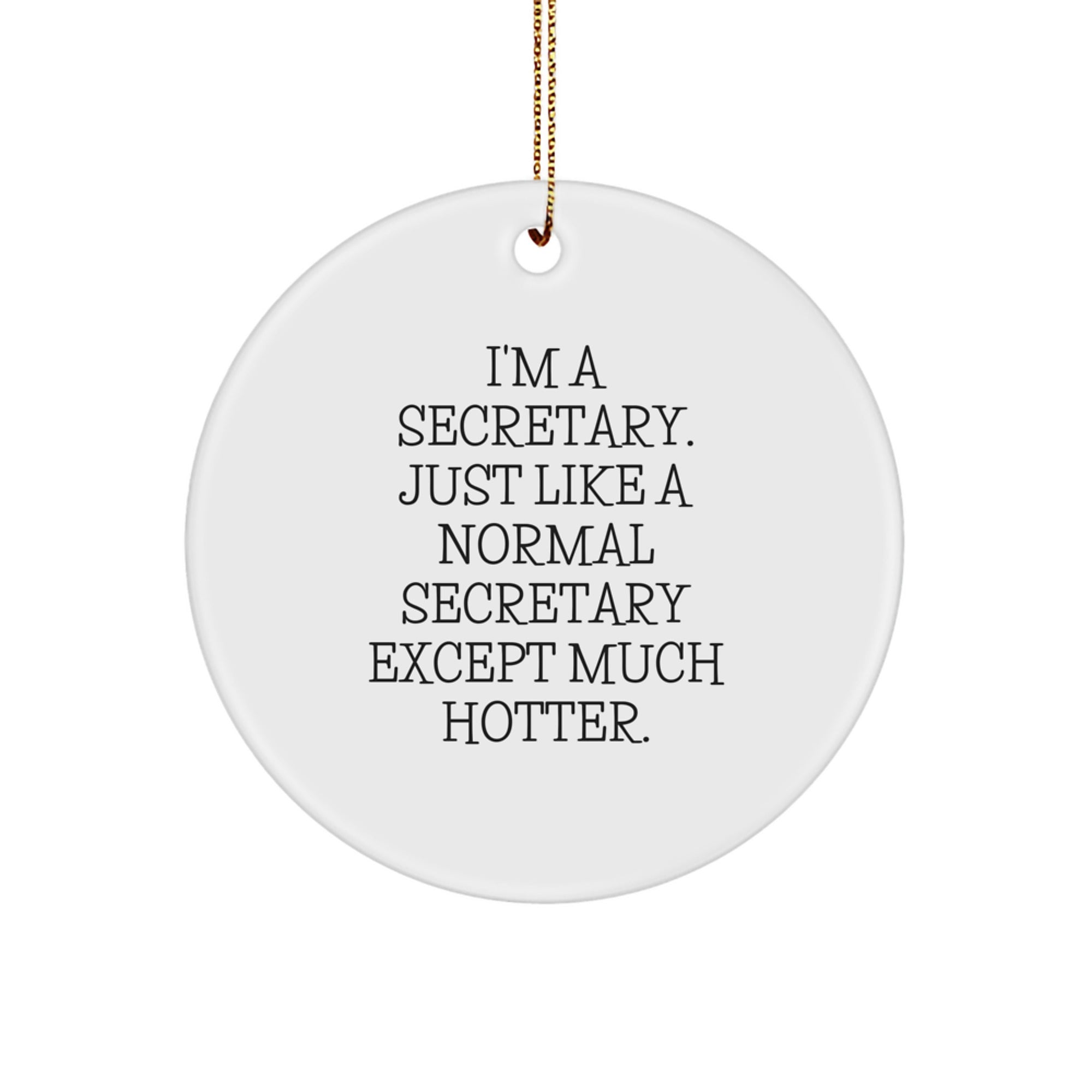 Funny Secretary Gifts from Men for Women Secretary Circle Ornament Christmas Unique Decorations for Office, I'm A Secretary Except Much Hotter. - Image 1