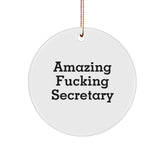 Funny Secretary Circle Ornament Gifts from Friends to Coworkers for Christmas - Image 1