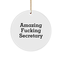 Funny Secretary Circle Ornament Gifts from Friends to Coworkers for Christmas - Image 1