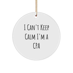 Funny CPAs I Can't Keep Calm Gifts for Friends from Men, Women, Family, and Coworkers - Circle Ornament for Christmas - Image 1