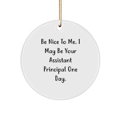 Funny Assistant Principal Gifts from Friends for Assistant Principals - Be Nice To Me. I May Be Your Assistant Principal One Day. Circle Ornament - Image 1