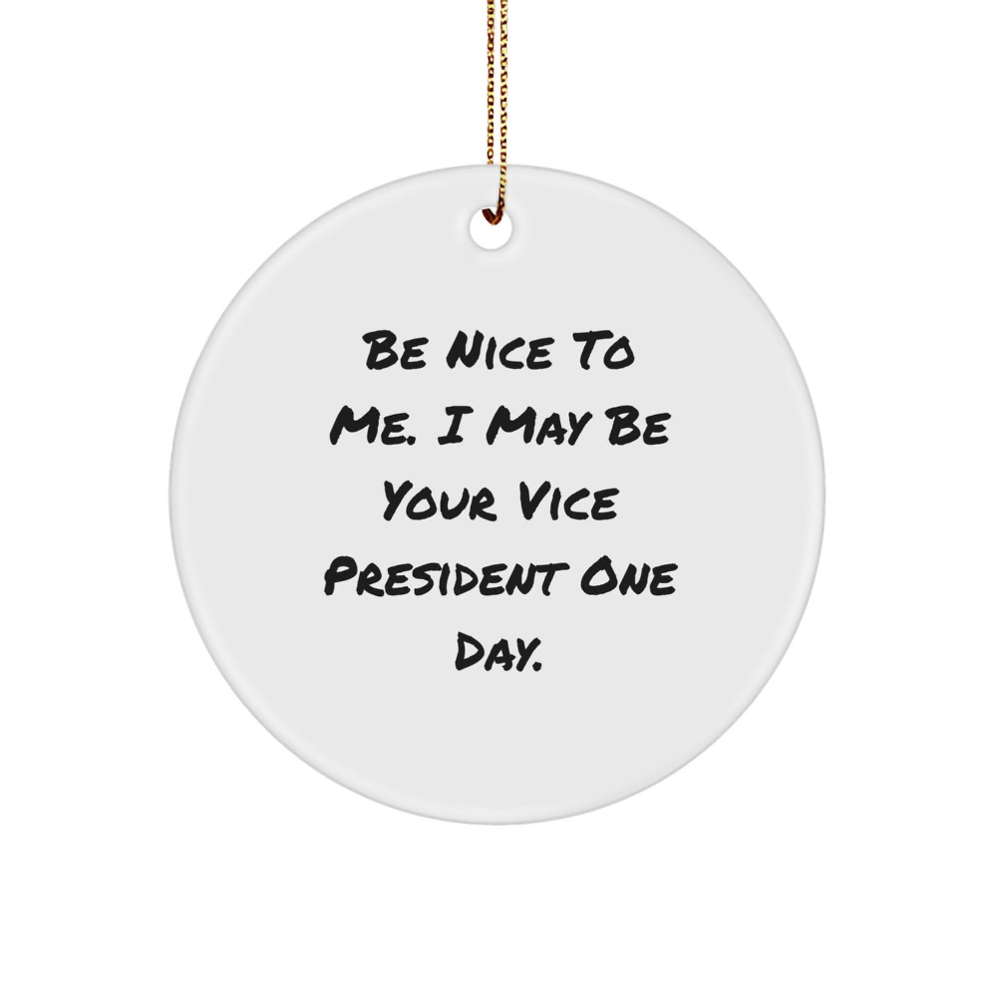 Funny Vice President Circle Ornament Gifts from Friends, Coworkers, Family - Be Nice To Me. I May Be Your Vice President One Day. - Image 1
