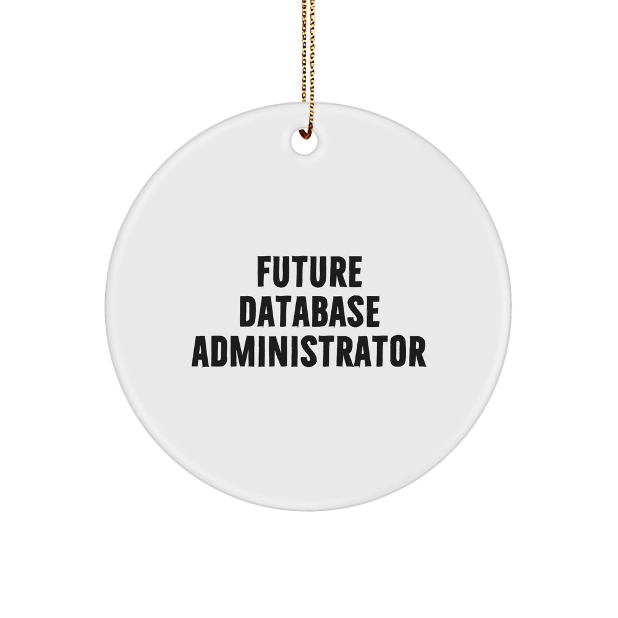 Funny Database Administrator Gifts for Men, Unique Circle Ornament, Future DBA Quote, Christmas Unique Gifts from Friends - Image 1