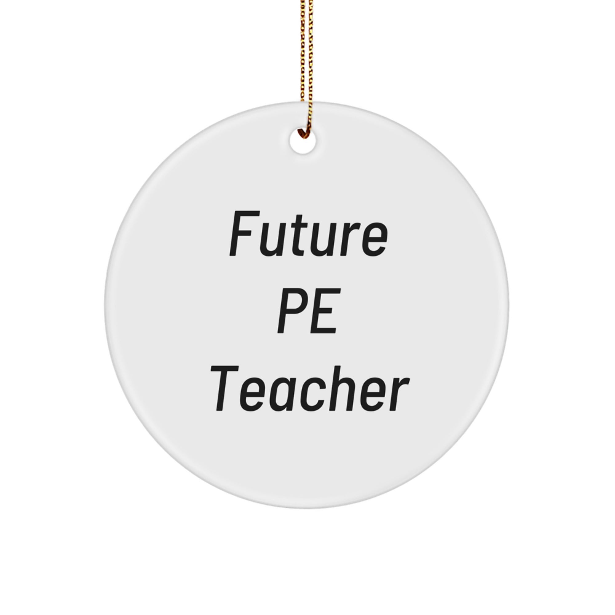 Funny Quote Gifts for PE Teacher, Circle Ornament, PE Teacher Gifts from Family - Future PE Teacher Christmas Unique Gifts - Image 1