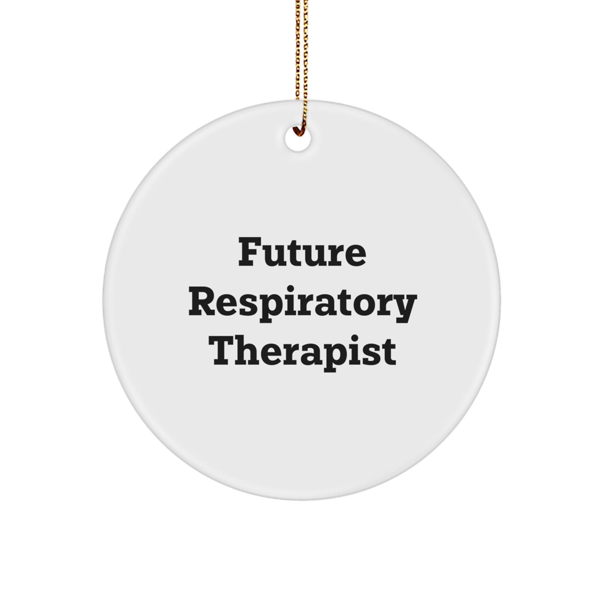 Funny Inspirational Gifts from Friends or Family for Future Respiratory Therapist Christmas Circle Ornament - Image 1