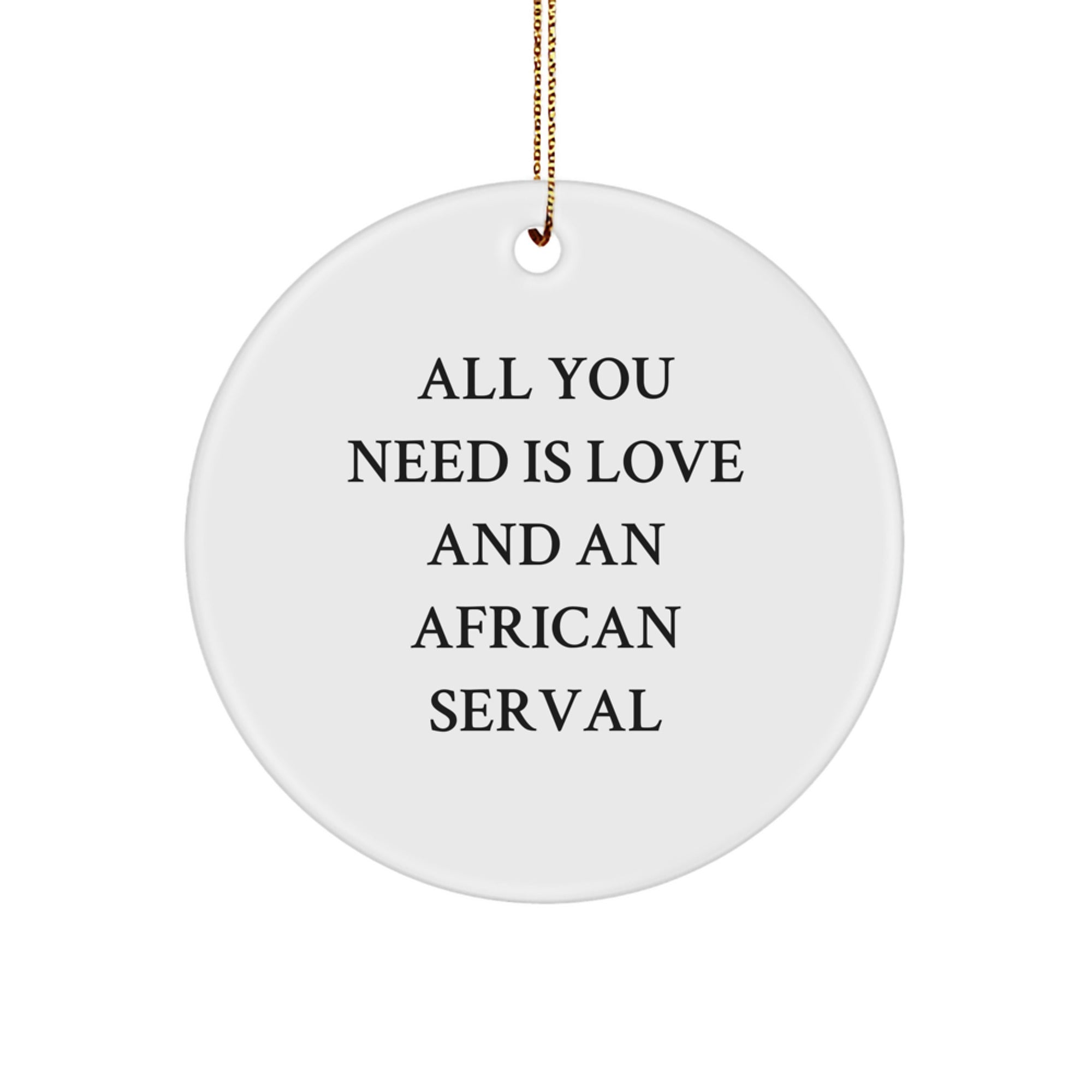Funny African Serval Cat Circle Ornaments for Christmas, Gifts from Men to Women Friends Family with Inspirational Quote, Circle Ornament for Men Women Friends Family, African Serval Cat Gifts - Image 1