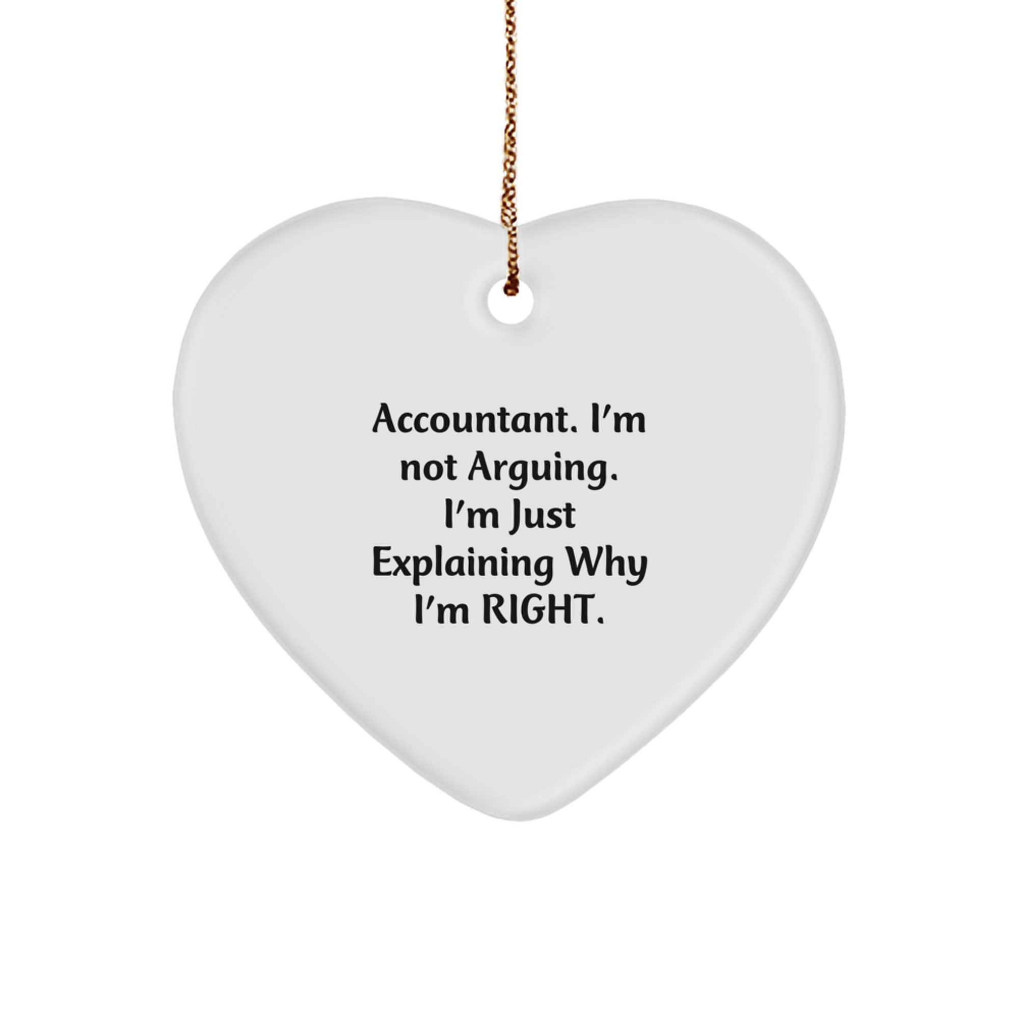 Funny Accountant Gifts from Friends for Christmas Unique Heart Ornaments - Image 1