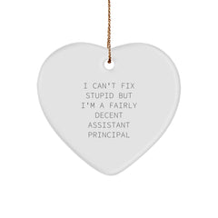 Funny Assistant Principal Gifts, Heart Ornament for Christmas, 'I Can't Fix Stupid' Quote, Gifts from Men for Women Coworkers - Image 1