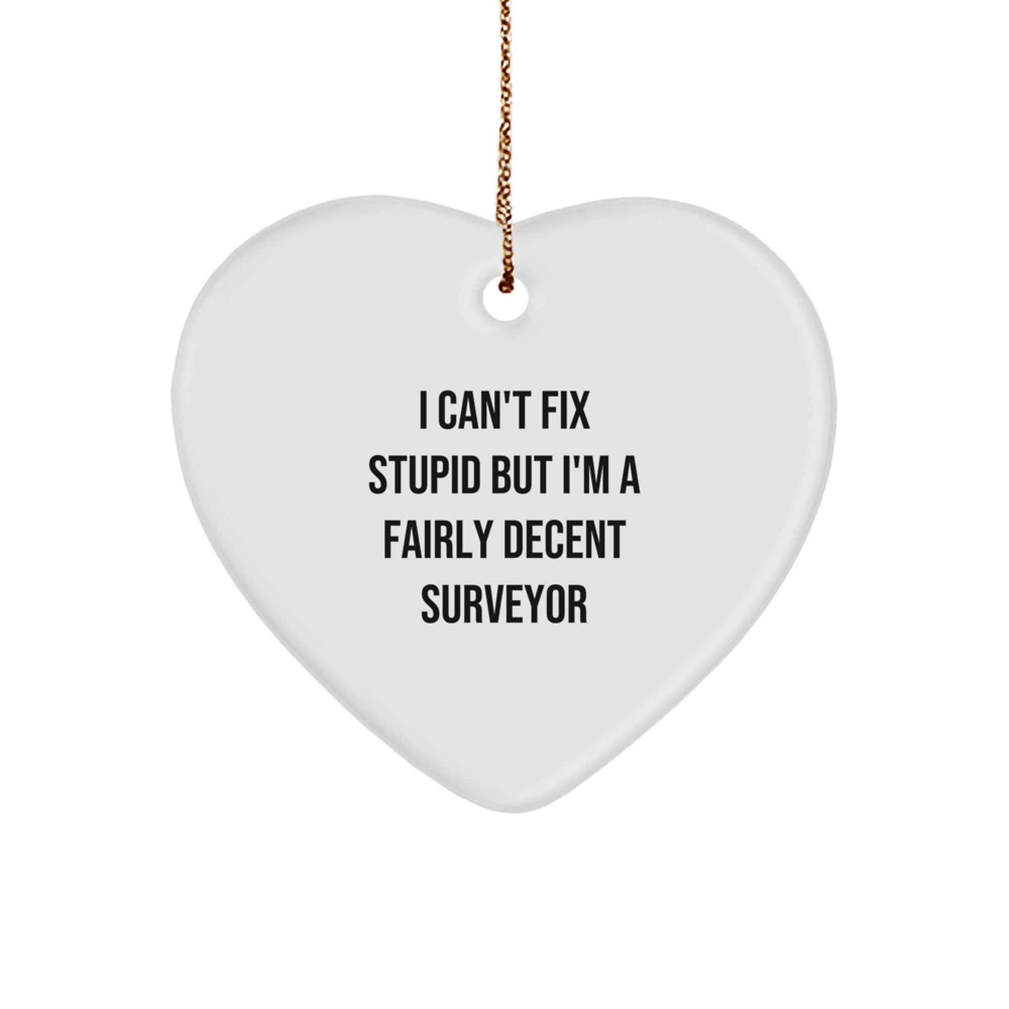 Funny Surveyor Gifts, Heart Ornament for Men, Christmas Unique Presents, 'I Can't Fix Stupid But I'm A Fairly Decent Surveyor' Quote, Gifts from Men to Surveyors - Image 1