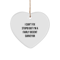 Funny Surveyor Gifts, Heart Ornament for Men, Christmas Unique Presents, 'I Can't Fix Stupid But I'm A Fairly Decent Surveyor' Quote, Gifts from Men to Surveyors - Image 1