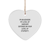 Funny Advisor Gifts: I'm An Advisor, Heart Ornament, Sarcasm, Christmas Unique Gifts from Family for Advisors - Image 1