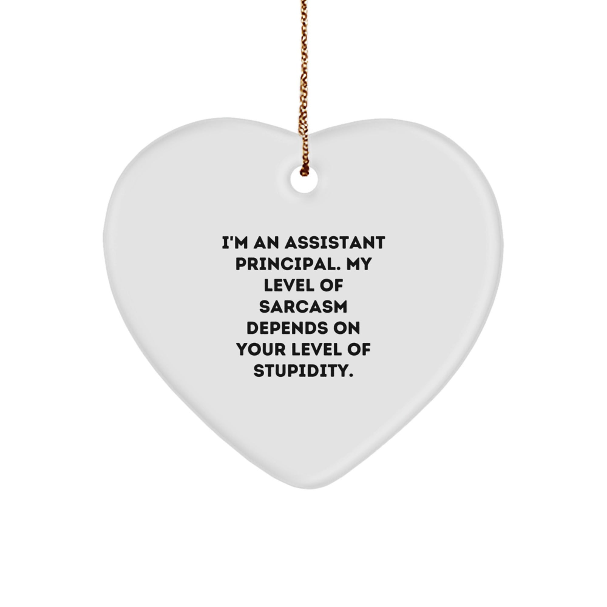 Funny Assistant Principal Gifts, Heart Ornament with Sarcastic Quote, Gifts from Family for Assistant Principal at Christmas, Perfect Unique Present - Image 1