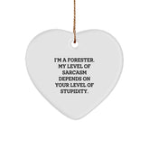 Funny Forester Gifts, Heart Ornament for Forester, 'I'm A Forester. My Level Of Sarcasm Depends On Your Level Of Stupidity.' Quote, Christmas Unique Gifts for Men, Women, Friends, Coworkers, Family - Image 1