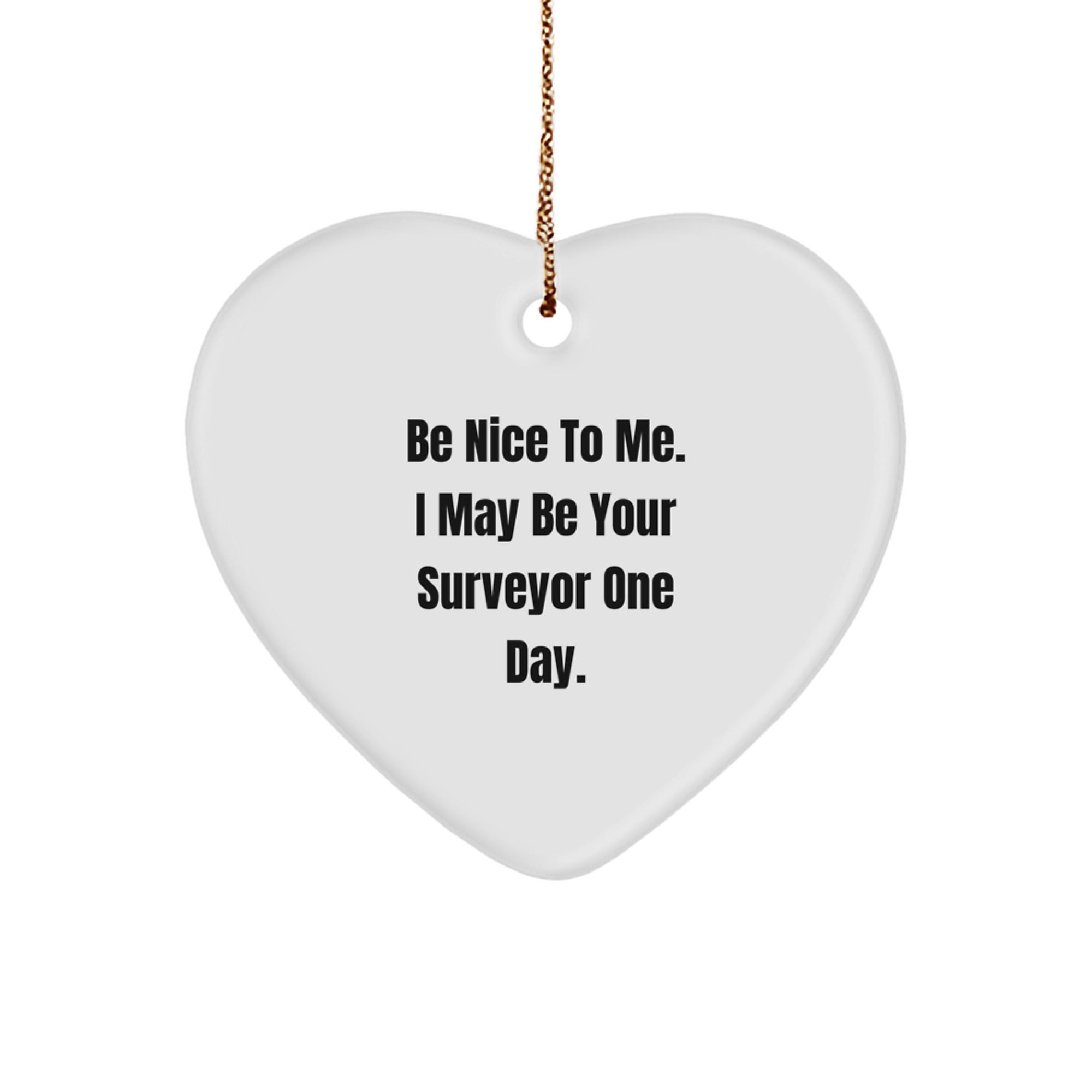 Funny Surveyor Gifts from Men to Friends - Be Nice To Me Heart Ornament, Christmas Unique Ornament for Surveyor - Image 1