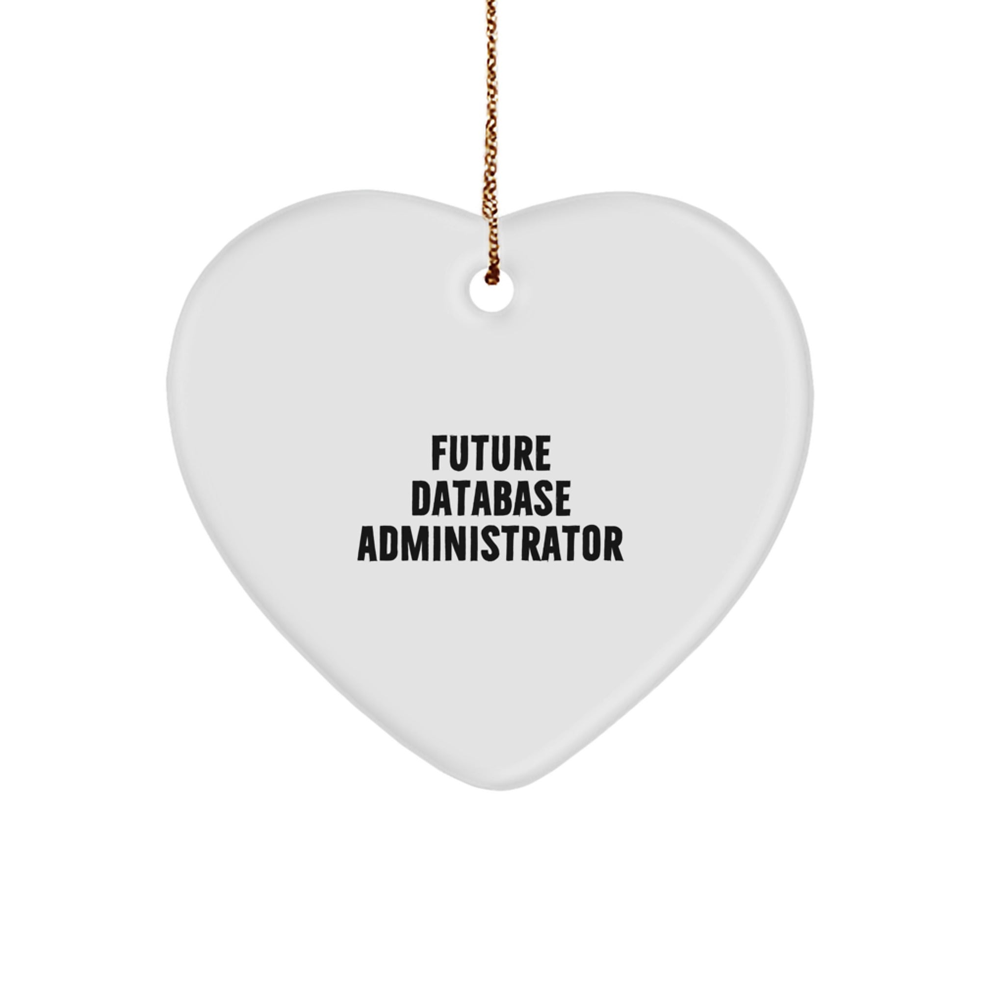 Funny Quote Gifts from Men to Future Database Administrator Christmas Unique Heart Ornament - Image 1