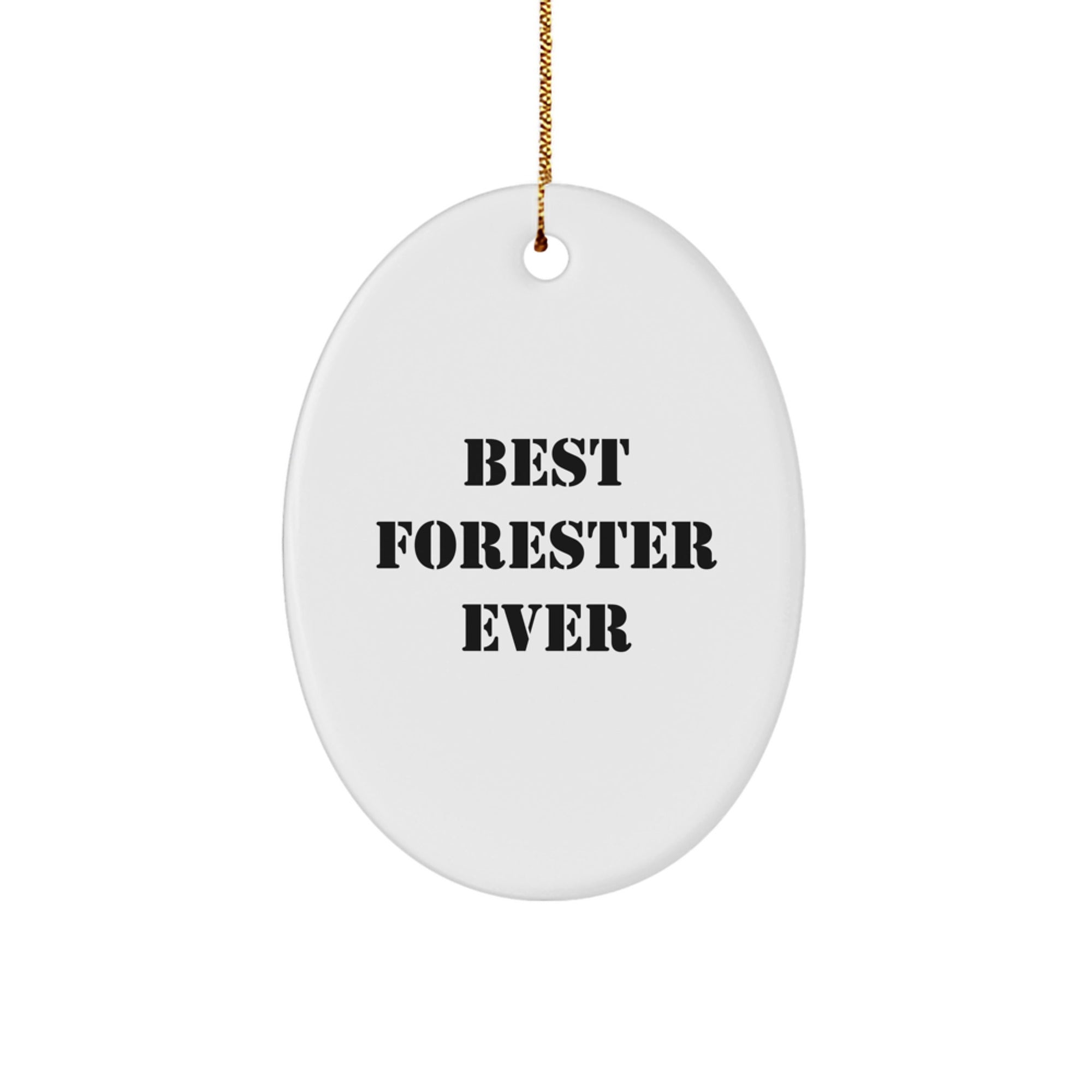 Funny Forester Gifts from Friends - Best Forester Ever Oval Ornament for Christmas - Image 1