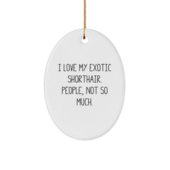 Exotic Shorthair Cat Lovers Gifts from Family, Friends, or Coworkers - Funny Oval Ornament for Christmas Unique Gifts - Image 1