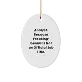 Funny Analyst Oval Ornament Gifts from Friends for Christmas Unique Presents - Image 1