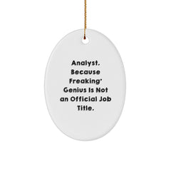 Funny Analyst Oval Ornament Gifts from Friends for Christmas Unique Presents - Image 1