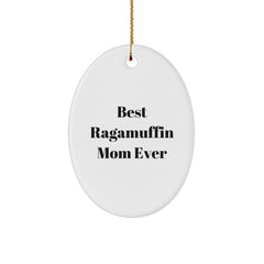 Funny Ragamuffin Cat Gifts from Mom, Oval Ornament for Christmas Unique Gifts for Ragamuffin Cat Lovers - Image 1