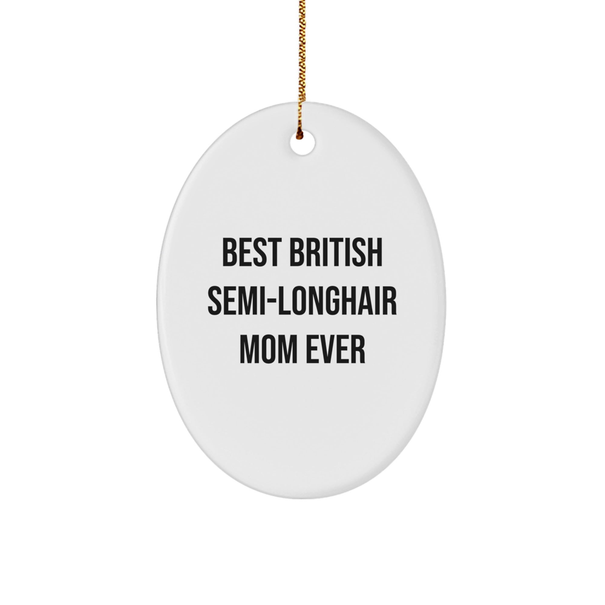 British Semi-Longhair Cat Lovers Gifts from Friends for Christmas Oval Ornament - Image 1