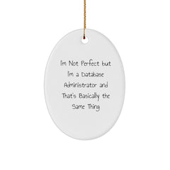 Funny Database Administrator Gifts, Oval Ornament 'I'm Not Perfect But I'm A Database Administrator And That's Basically The Same Thing' for Christmas from Friends to Coworkers - Image 1