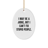 Fun Judge Gifts from Family and Friends - I May Be A Judge, But I Can't Fix Stupid People. Oval Ornament for Christmas Unique Presents - Image 1