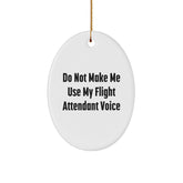 Funny Flight Attendant Gifts from Friends and Family - Oval Ornament for Flight Attendant Humor - Christmas Unique Gifts - Image 1
