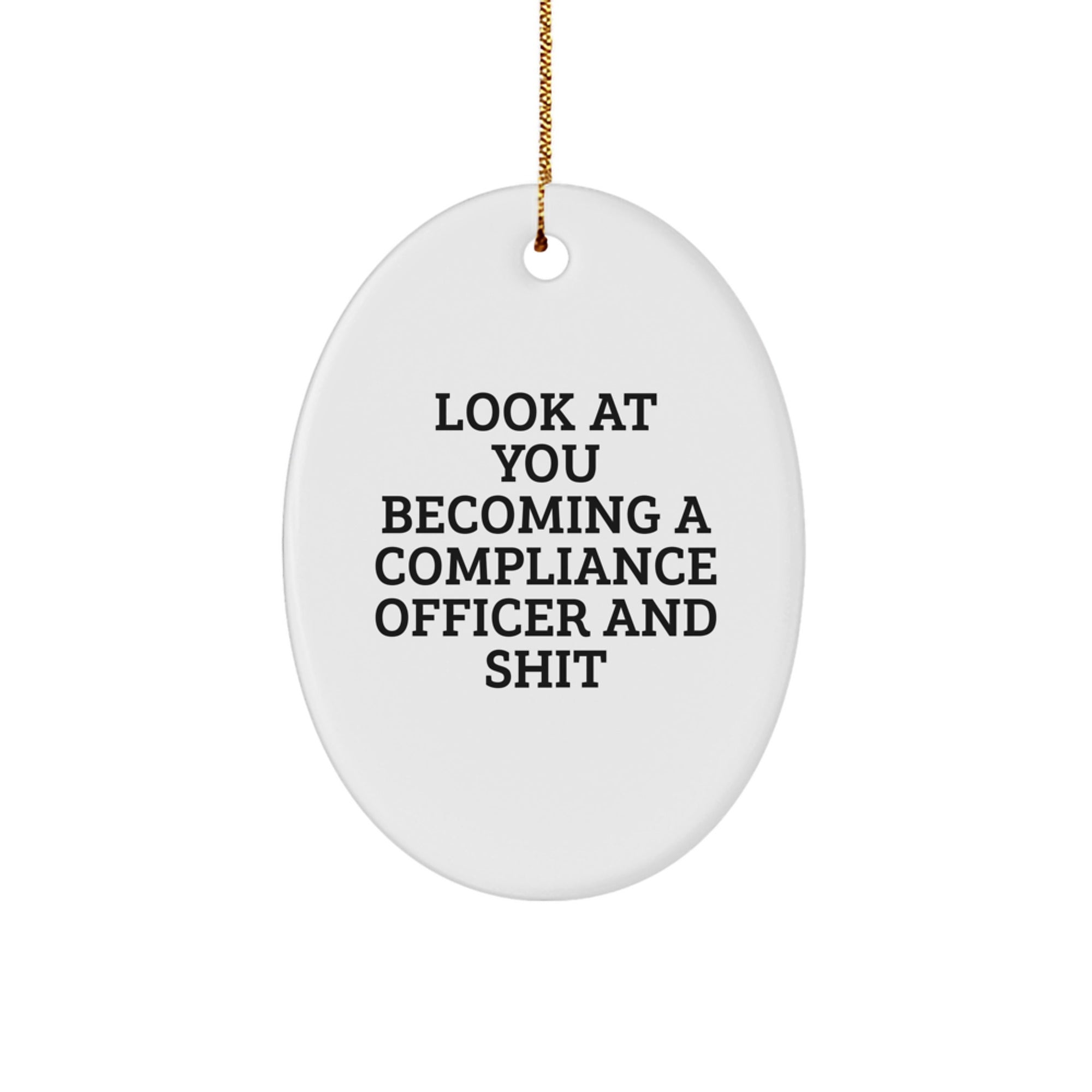 Funny Compliance Officer Gifts for Him, Oval Ornament with 'Look At You Becoming A Compliance Officer And Shit' Humor, Gifts from Men, Perfect Office Christmas Unique Decorations - Image 1