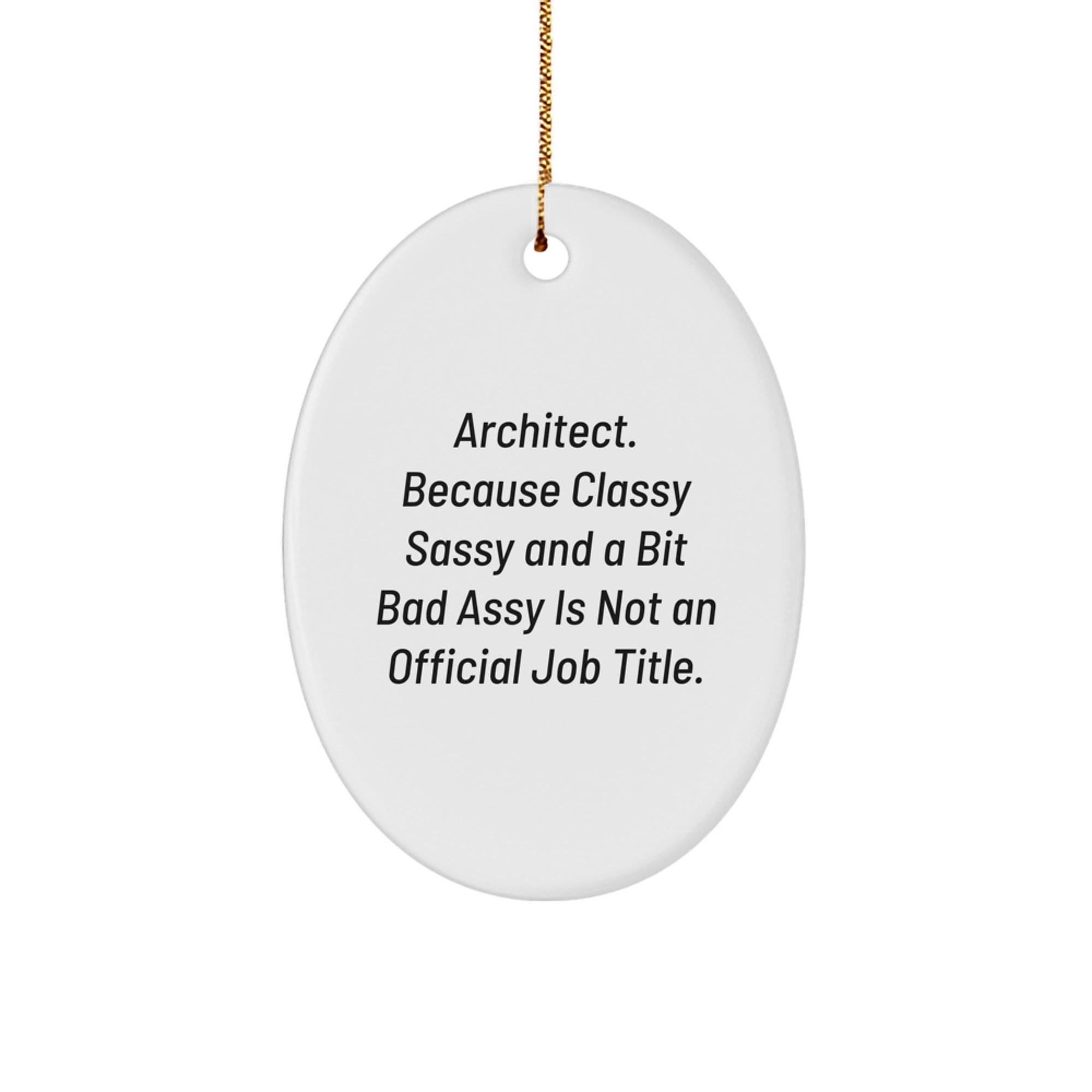 Funny Quote Oval Ornament Gifts for Architect Men Christmas Unique Gifts from Friends - Image 1