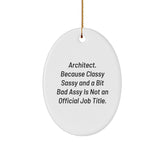 Funny Quote Oval Ornament Gifts for Architect Men Christmas Unique Gifts from Friends - Image 1