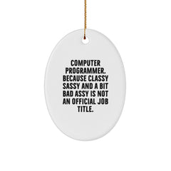 Funny Computer Programmer Gifts for Him - Oval Ornament - 'Classy Sassy And A Bit Fearlessy' Quote, Unique Christmas Unique Gifts from Men, Coworkers, Friends, Family - Image 1