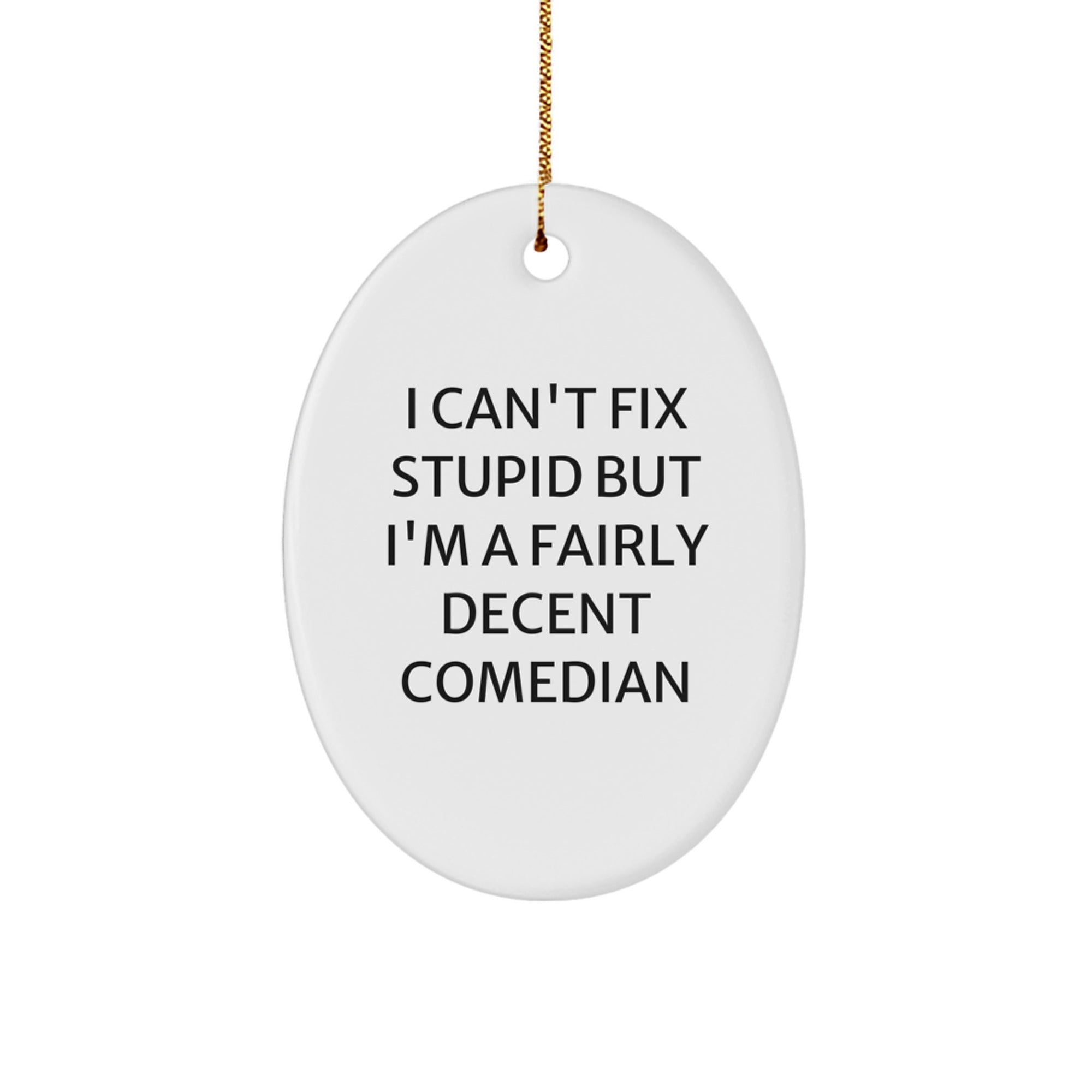 Funny Comedian Oval Ornament Gifts for Comedian Friends and Family, I Can't Fix Stupid But I'm A Fairly Decent Comedian Christmas Unique Gifts from Men to Comedian - Image 1