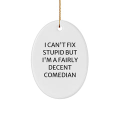 Funny Comedian Oval Ornament Gifts for Comedian Friends and Family, I Can't Fix Stupid But I'm A Fairly Decent Comedian Christmas Unique Gifts from Men to Comedian - Image 1