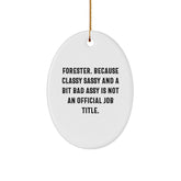 Fun Forester Gifts for the Classy Sassy Man in Your Life - Oval Ornament with Funny Quote - Image 1