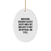 Funny Musician Oval Ornament Gifts for Musicians, Unique Christmas Unique Gifts from Friends, Family, Coworkers to Musician Men, Women, Oval Decorations - Image 1
