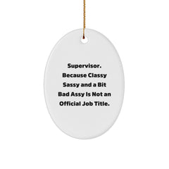 Funny Supervisor Oval Ornament Gifts for Supervisor Friends Christmas Unique Gifts from Friends - Image 1