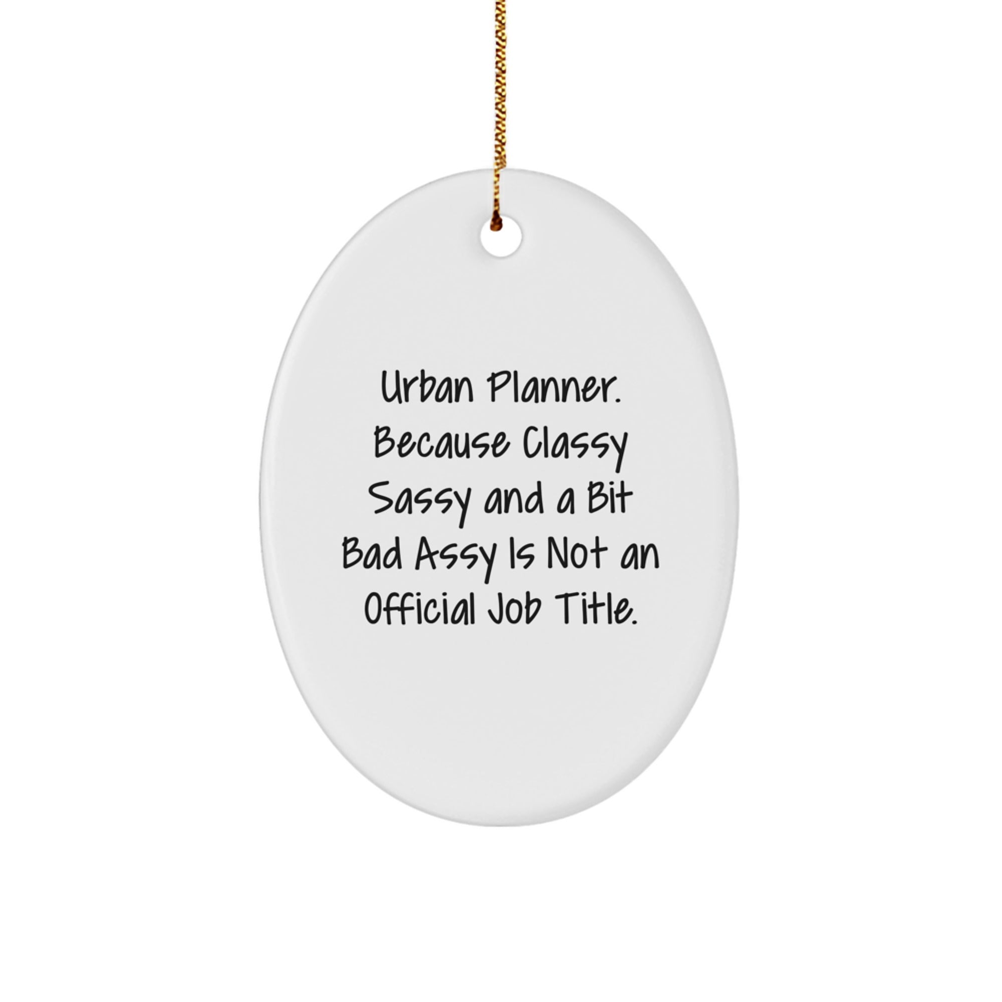 Fun Urban Planner Oval Ornament Gifts from Friends for Urban Planner Christmas Unique Decorations - Image 1