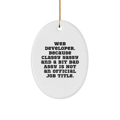 Funny Web Developer Oval Ornament Gifts from Men to Coworkers for Christmas Unique - Image 1