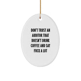 Funny Auditor Oval Ornament Gifts from Men to Friends for Christmas Unique - Image 1